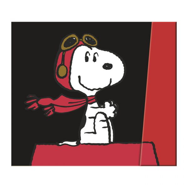 Set de Notas Adhesivas y Planificador Snoopy